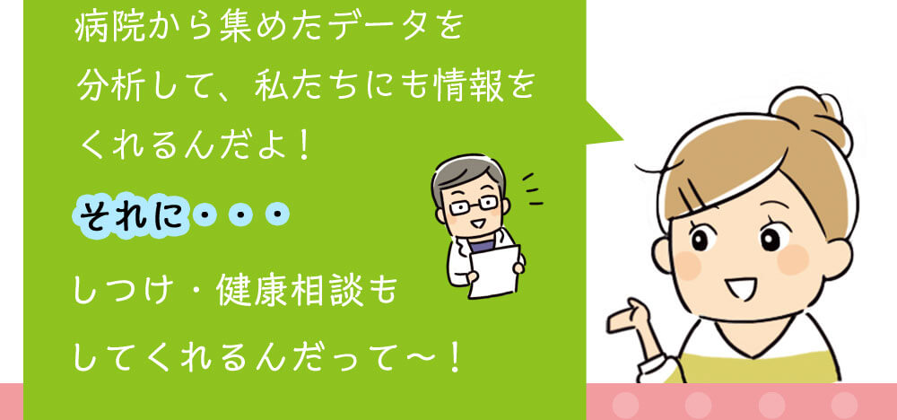 ±齸᤿ǡʬϤơ䤿ˤ򤯤衪ˡĤĤ̤⤷Ƥäơ
