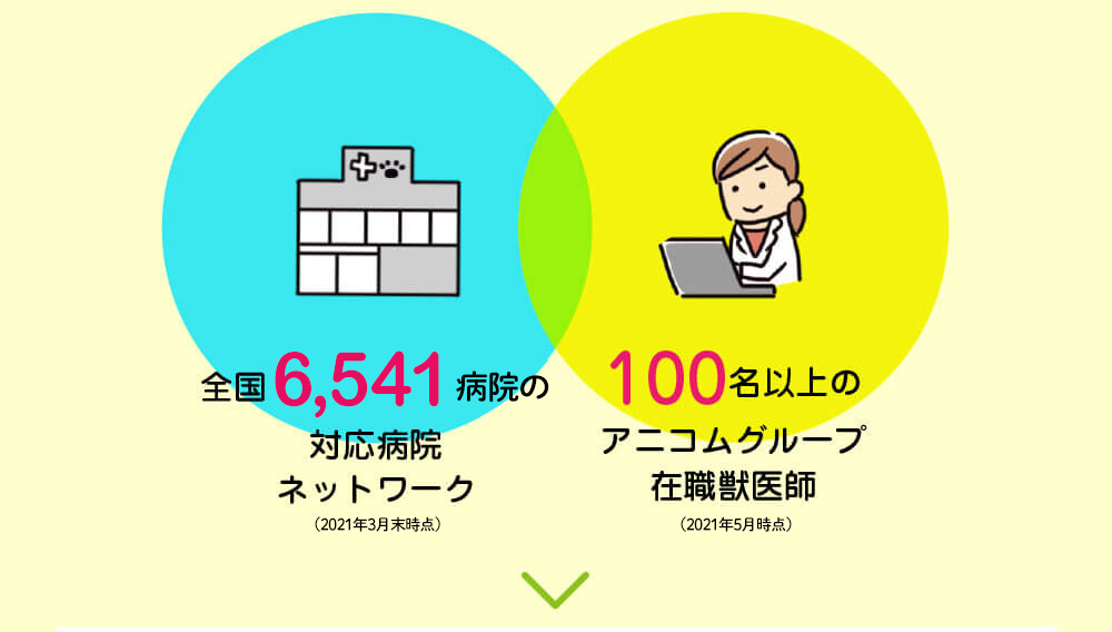 6,000ʾб±ͥåȥ100̾ʾΥ˥॰롼׺߿ðա