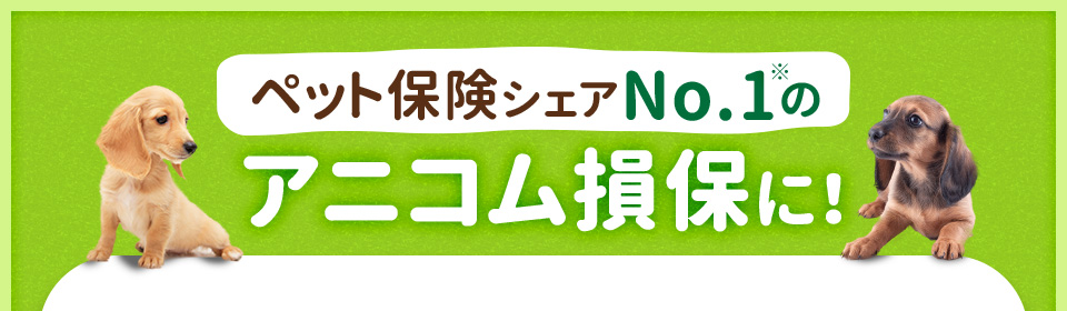 ペット保険シェアNo.1のアニコム損保に！