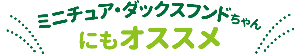 ミニチュア・ダックスフンドちゃんにもオススメ