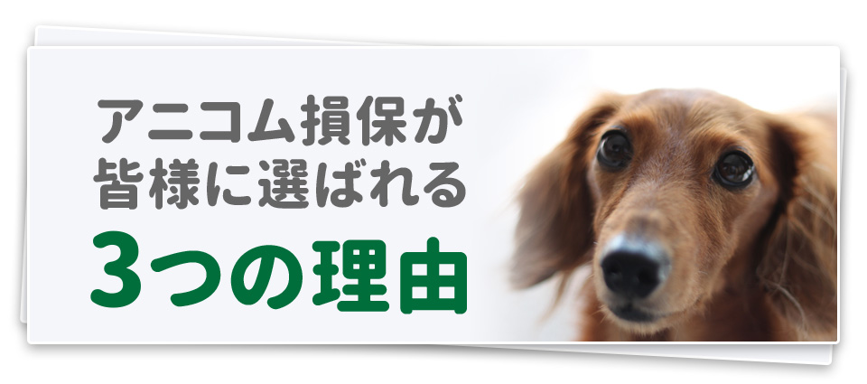 アニコム損保が皆様に選ばれる3つの理由