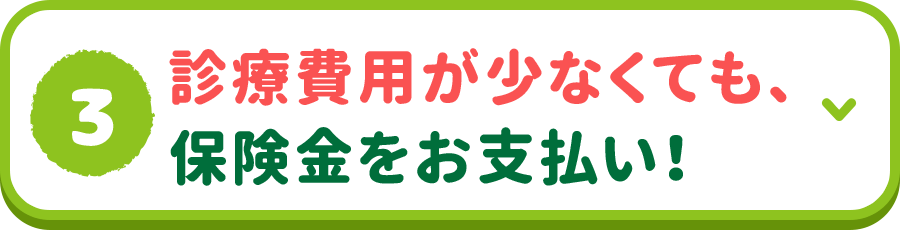 3.診療費用が少なくても、保険金をお支払い！