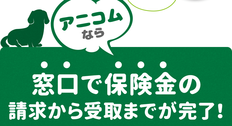 アニコムなら窓口で保険金の請求から受取までが完了！
