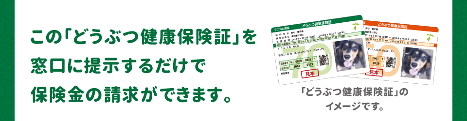 この「どうぶつ健康保険証」を窓口に提示するだけで 保険金の請求ができます。