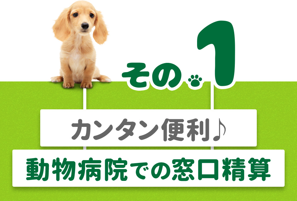 その1カンタン便利♪動物病院での窓口精算