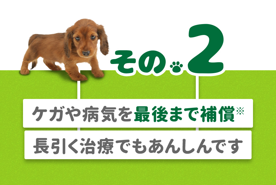 その2.ケガや病気を最後まで補償※ 長引く治療でもあんしんです
