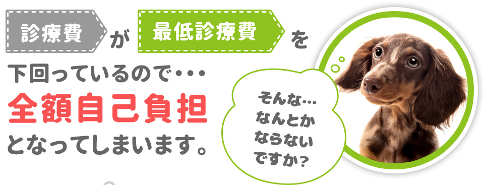 診療費が最低診療費を下回っているので・・・全額自己負担となってしまいます。