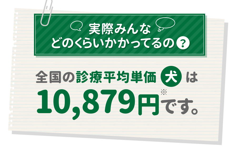 実際みんなどのくらいかかってるの？全国の診療平均単価（犬）は10,879円です。