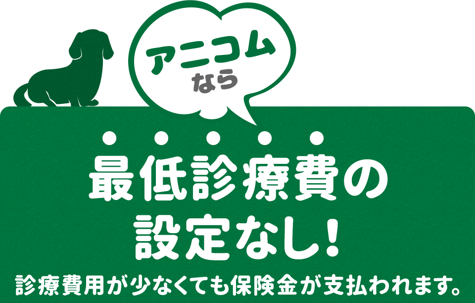 アニコムなら最低診療費の設定なし！診療費用が少なくても保険金が支払われます。