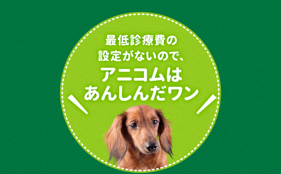 最低診療費の 設定がないので、アニコムは安心だワン！