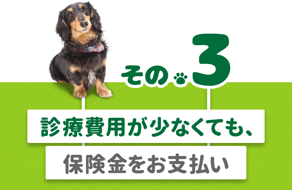 その3.診療費用が少なくても、保険金をお支払い