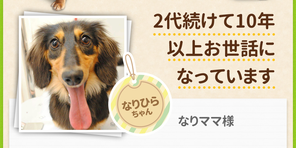 2代続けて10年以上お世話になっています/なりひらちゃん　なりママ様