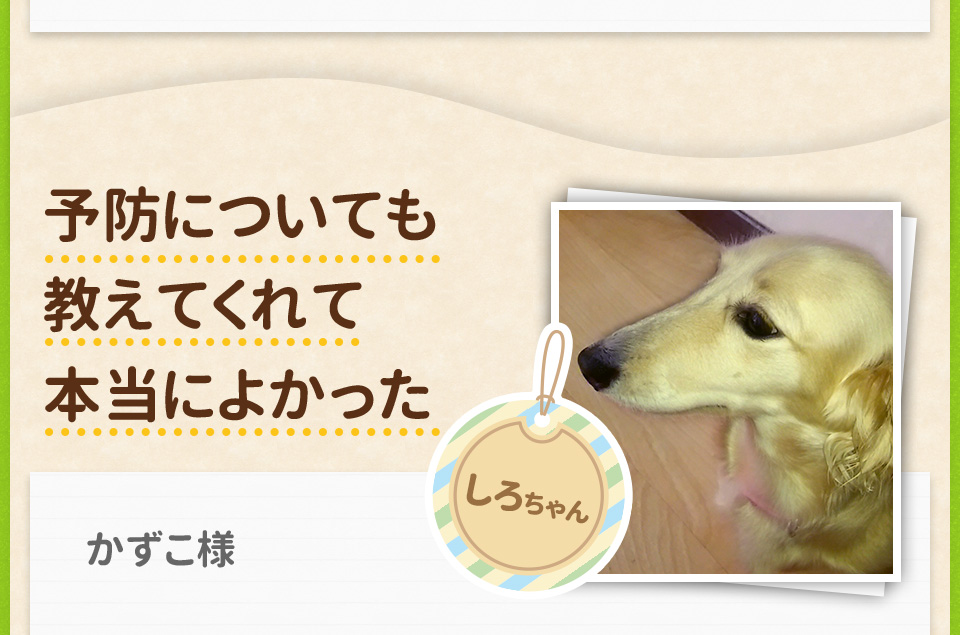 予防についても教えてくれて本当によかった/しろちゃん　かずこ様