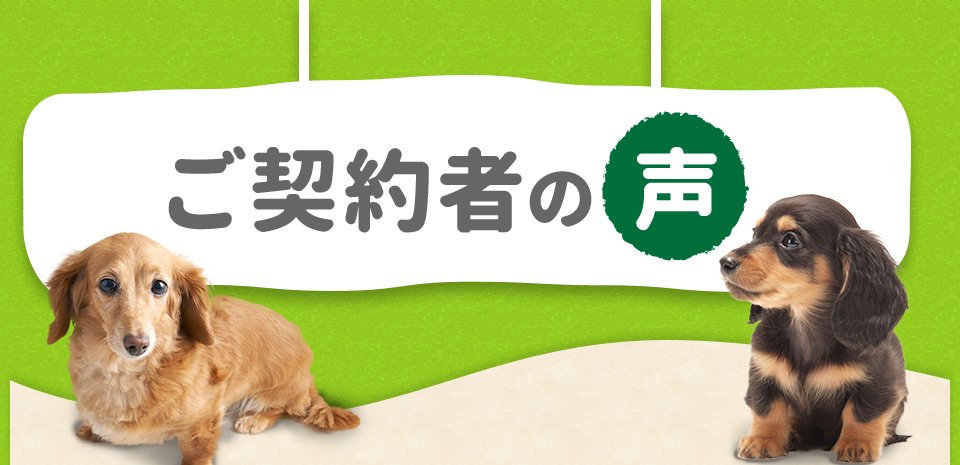 ご契約者の声
