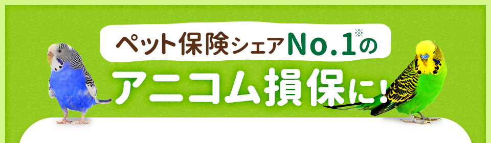 ペット保険シェアNo.1のアニコム損保に！