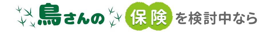 鳥さんの保険を検討中なら