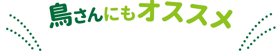 鳥さんにもオススメ