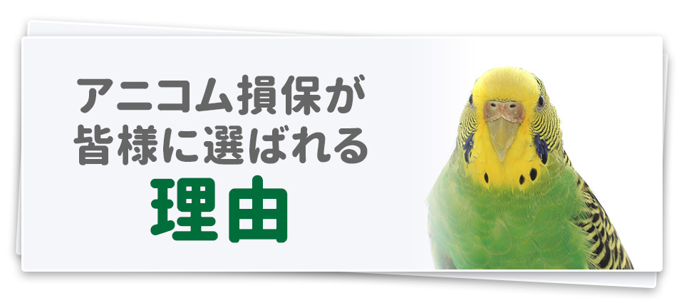 アニコム損保が皆様に選ばれる3つの理由