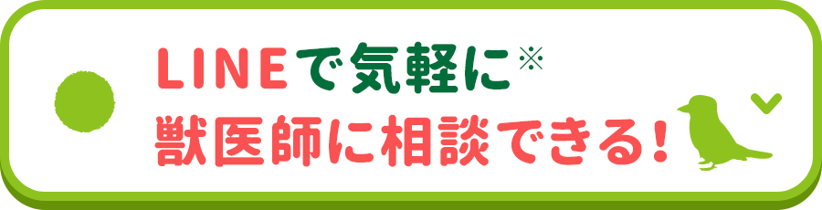 2.LINEで気軽に※獣医師に相談できる！