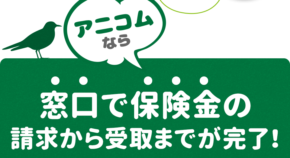 アニコムなら窓口で保険金の請求から受取までが完了！
