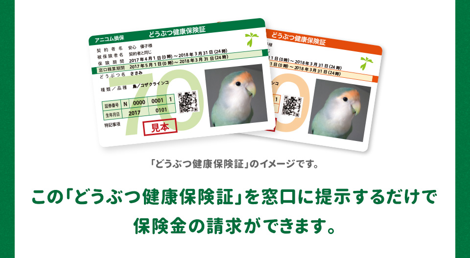 この「どうぶつ健康保険証」を窓口に提示するだけで 保険金の請求ができます。