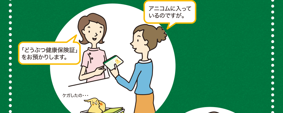 保険金請求から受け取りまでのイメージ