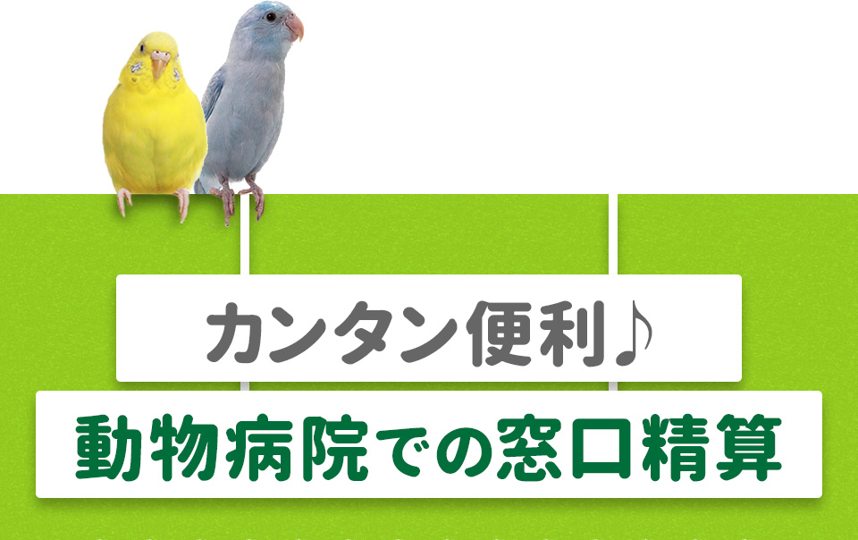その1カンタン便利♪動物病院での窓口精算