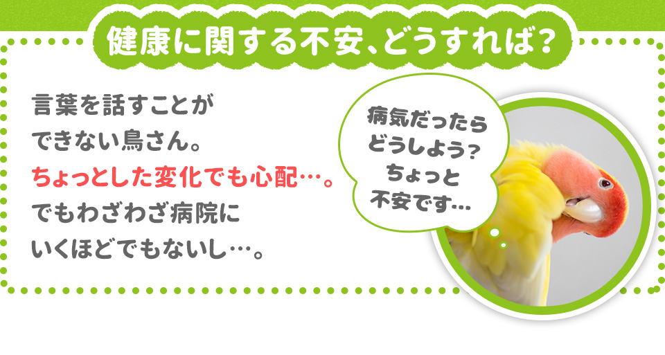 健康に関する不安、どうすれば？