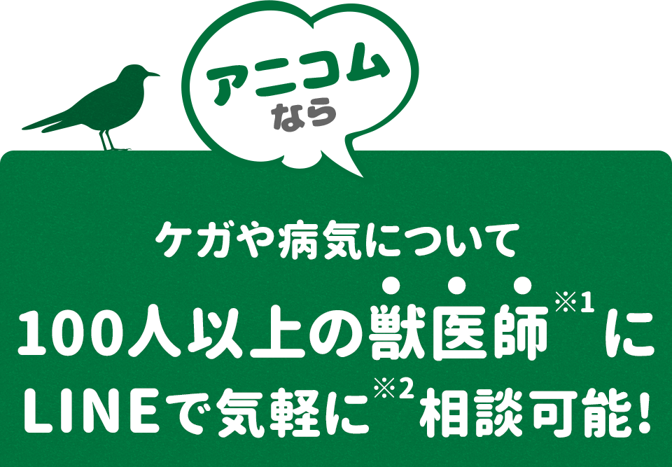 アニコムなら