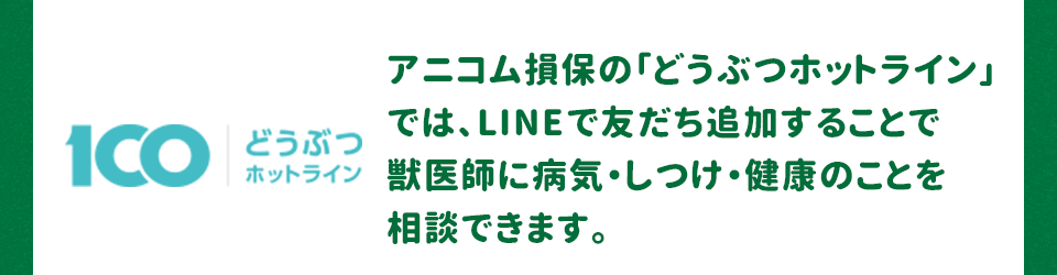 アニコム損保の「どうぶつホットライン」では、LINEで友だち追加することで獣医師に病気・しつけ・健康のことを相談できます。