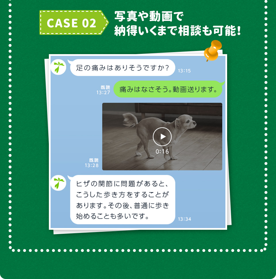 写真や動画で納得いくまで相談も可能！