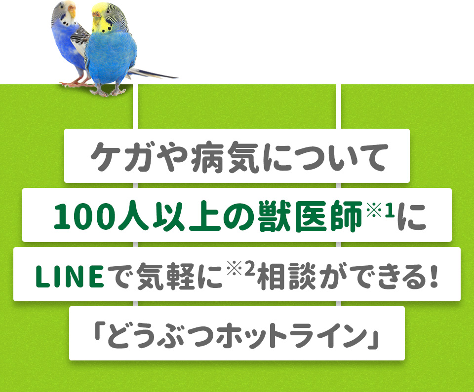 ケガや病気について100人以上の獣医師※1にで気軽に※2相談ができる！「どうぶつホットライン」