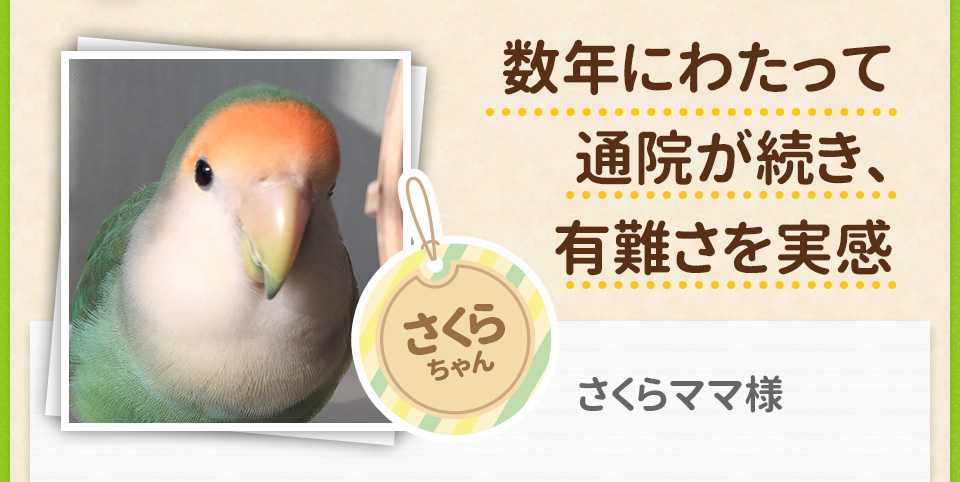 数年にわたって通院が続き、有難さを実感/さくらママ様