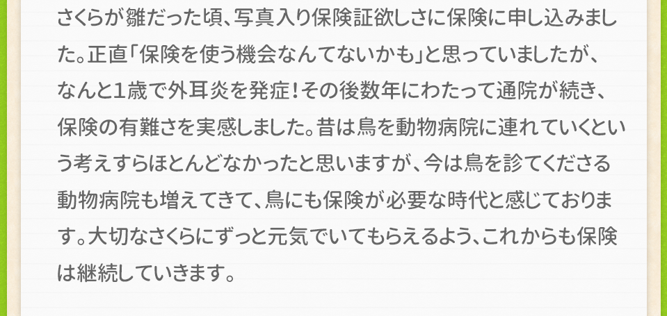 さくらが雛だった頃、写真入り保険証欲しさに保険に申し込みました。正直「保険を使う機会なんてないかも」と思っていましたが、なんと１歳で外耳炎を発症！その後数年にわたって通院が続き、保険の有難さを実感しました。昔は鳥を動物病院に連れていくという考えすらほとんどなかったと思いますが、今は鳥を診てくださる動物病院も増えてきて、鳥にも保険が必要な時代と感じております。大切なさくらにずっと元気でいてもらえるよう、これからも保険は継続していきます。