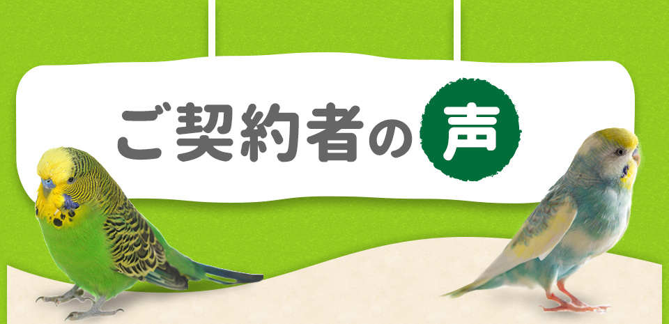 ご契約者の声