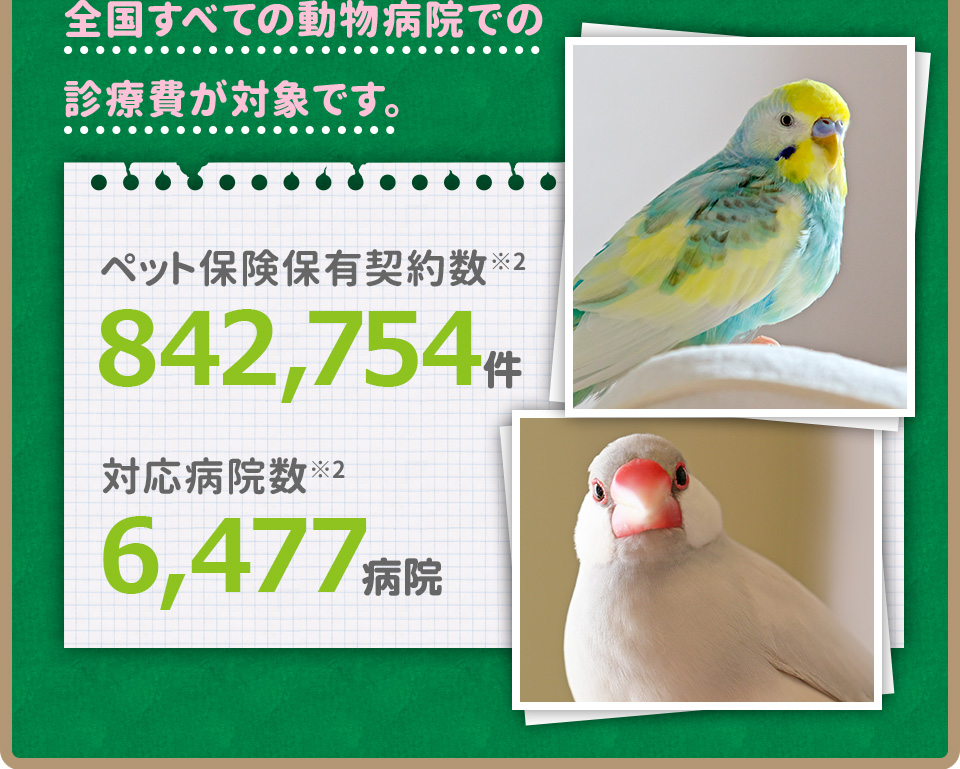 全国すべての動物病院での 診療費が対象です。ペット保険保有契約数※2 650,550件 対応病院数※2 6,116病院