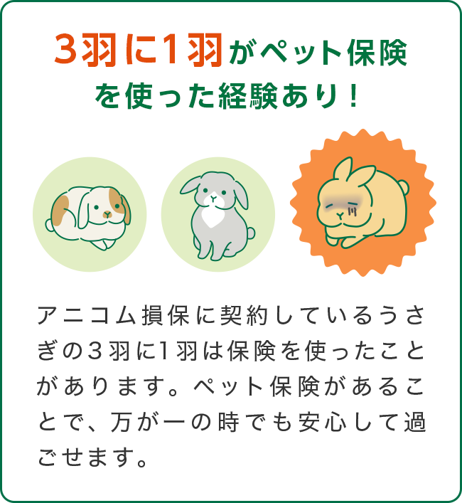 3羽に1羽がペット保険を使った経験あり