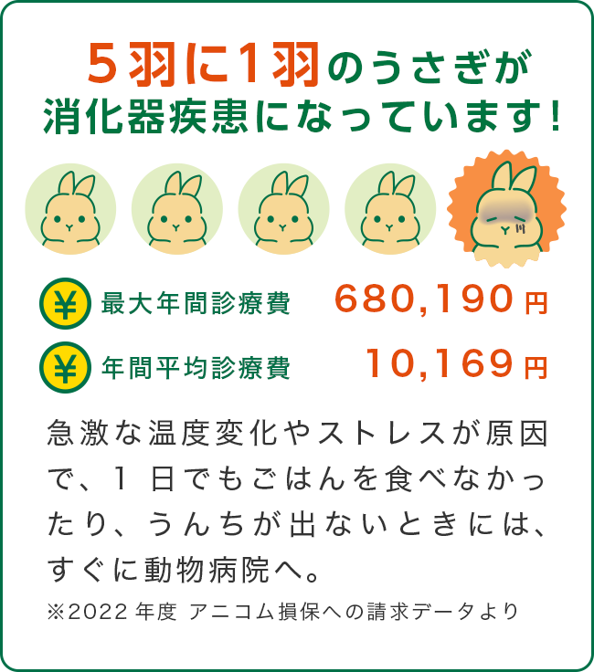 5羽に1羽のうさぎが消火器疾患になっています