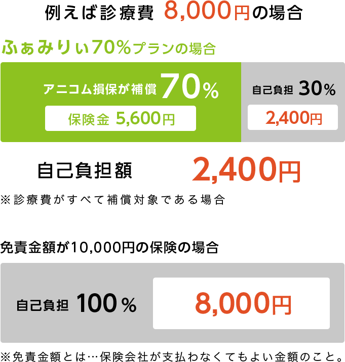 少額の診療費でも使える