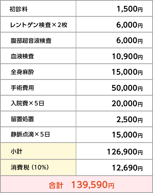 ネザーランドドワーフの場合の診療明細