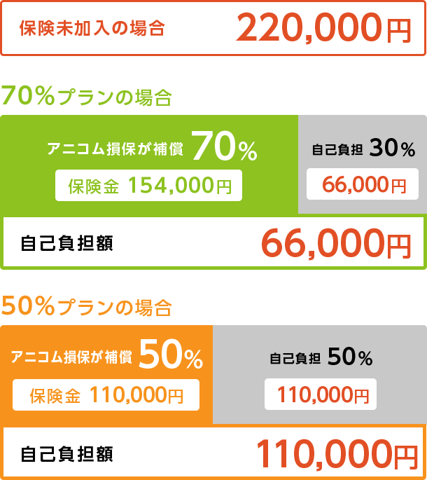 ホーランドロップイヤーの場合の自己負担額