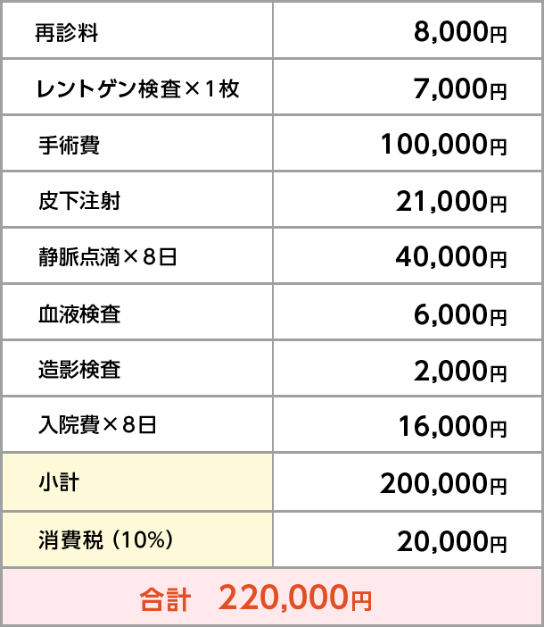 ホーランドロップイヤーの場合の診療明細