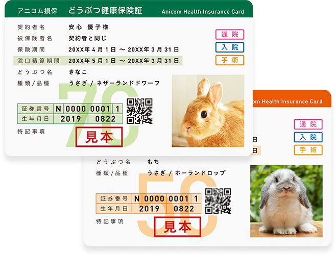 どうぶつ健康保険証