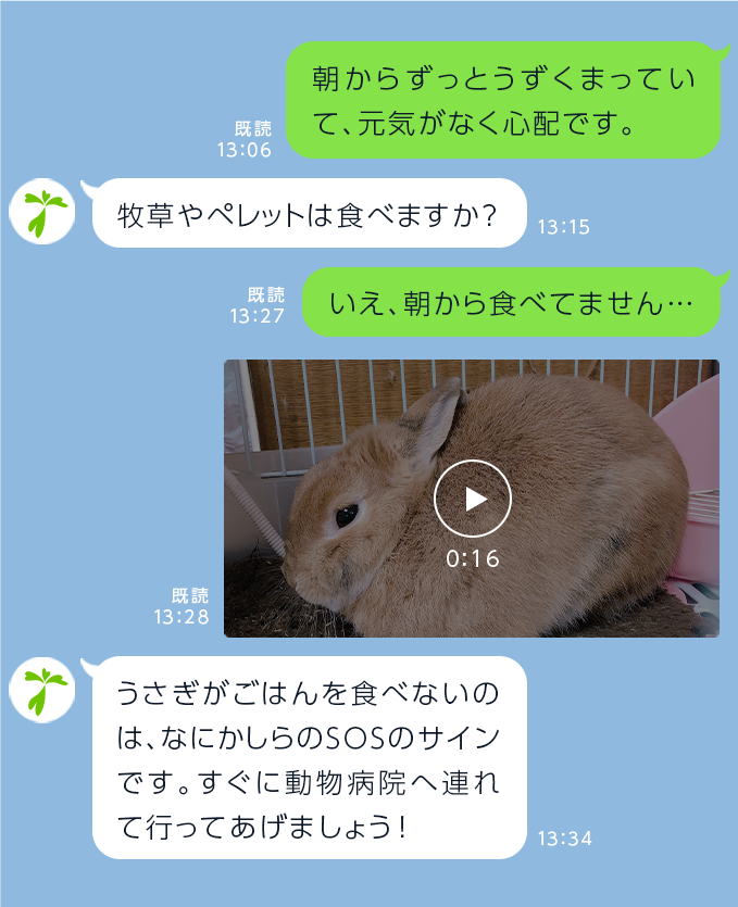 写真や動画で納得いくまで相談も可能
