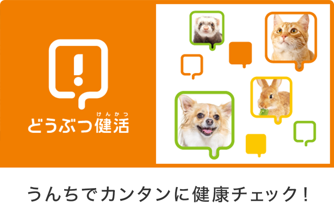 どうぶつ健活