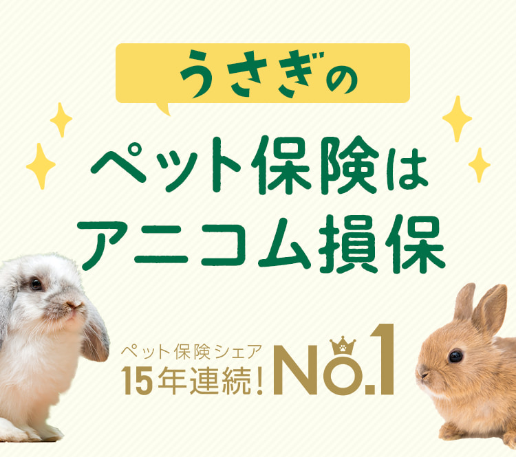 うさぎのペット保険はアニコム損保