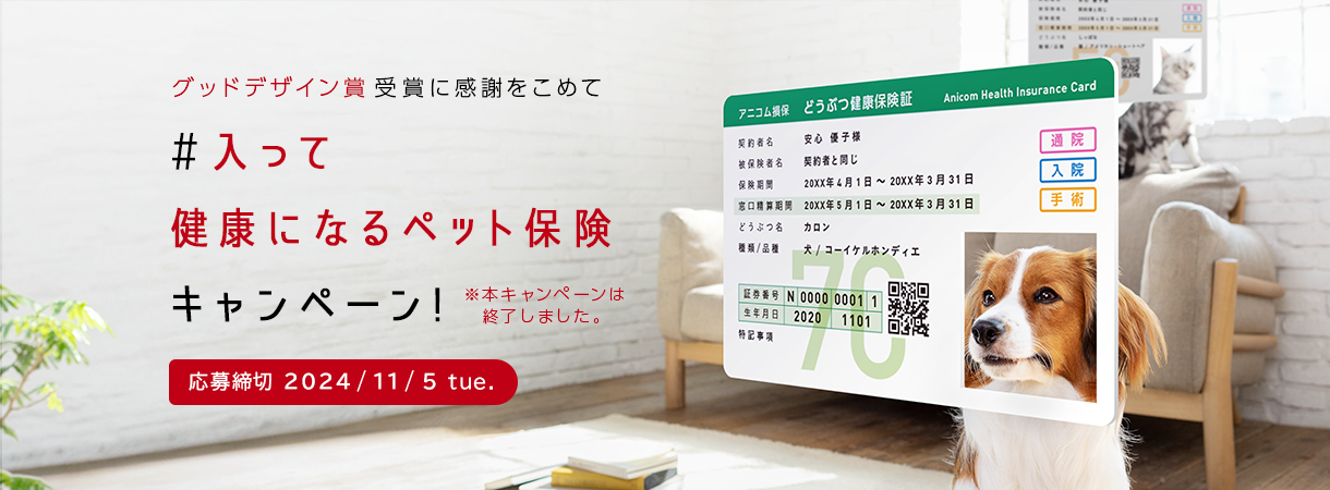 #入って健康になるペット保険 キャンペーン!