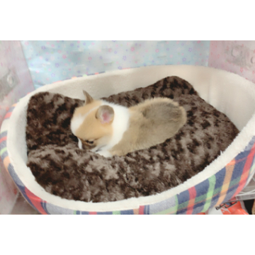 animal_image
