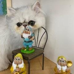 animal_image