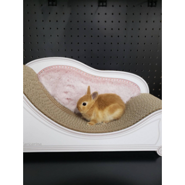 animal_image